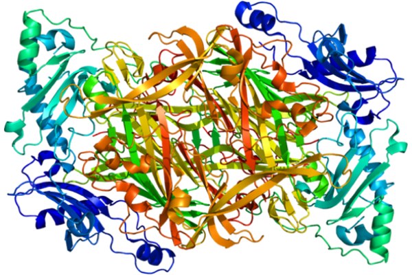 VAP-1-protein