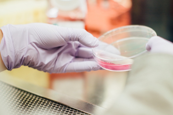 Research and Medicine Development PSC Support