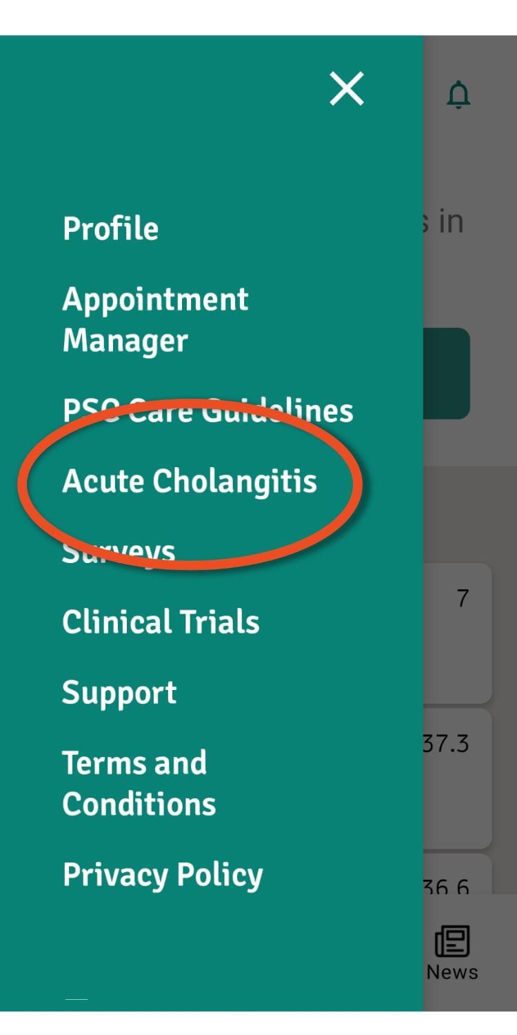Go to Acute Cholagitis