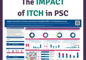 Impact of itch Surey POSTER